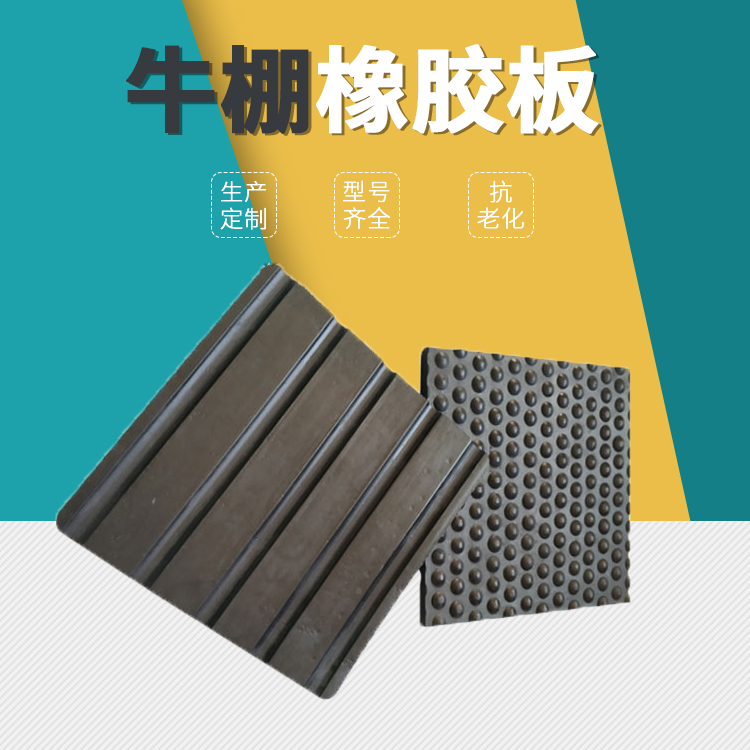 主图 拷贝.jpg