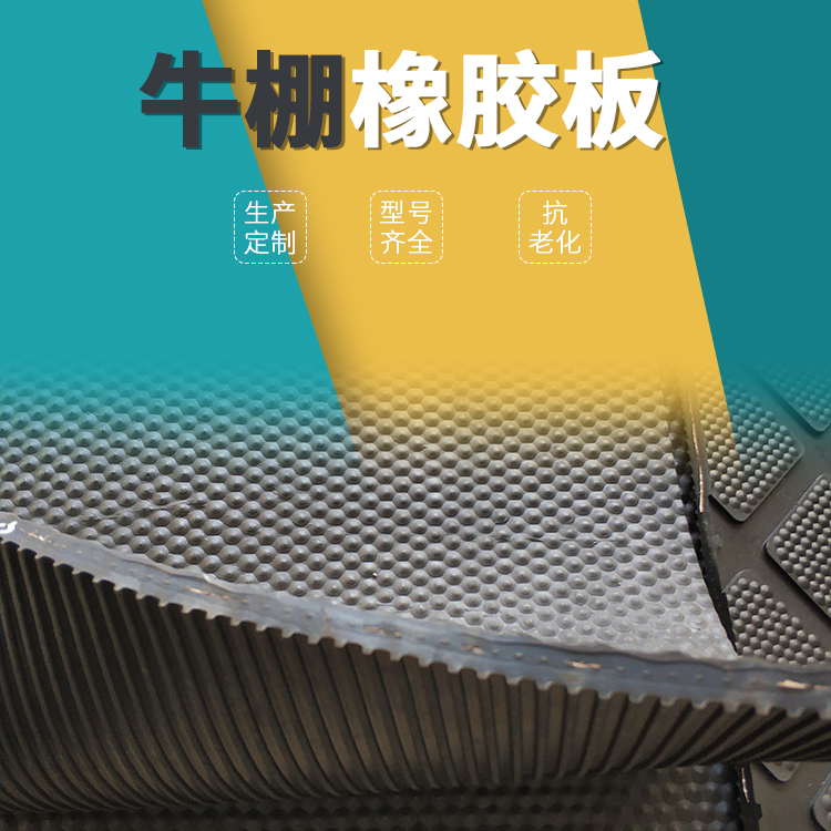 主图 拷贝2.jpg