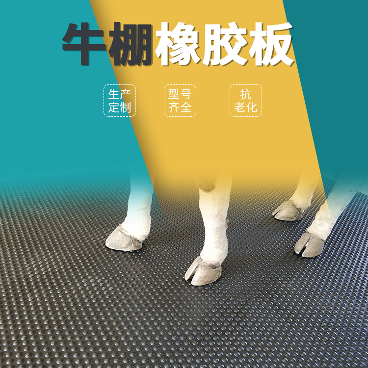 主图 拷贝3.jpg